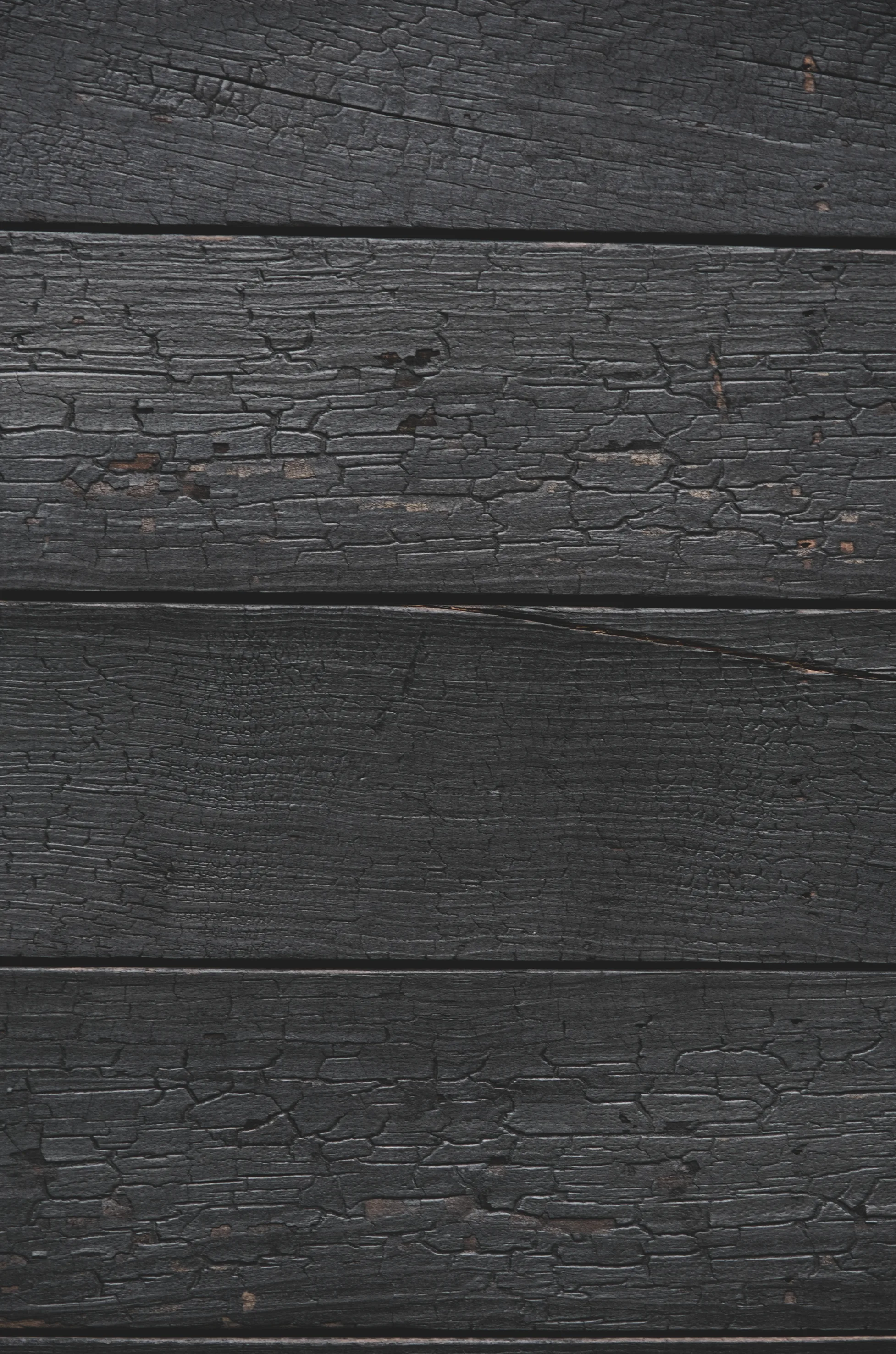 Textura real de madera Kineki carbonizada con Shou Sugi Ban